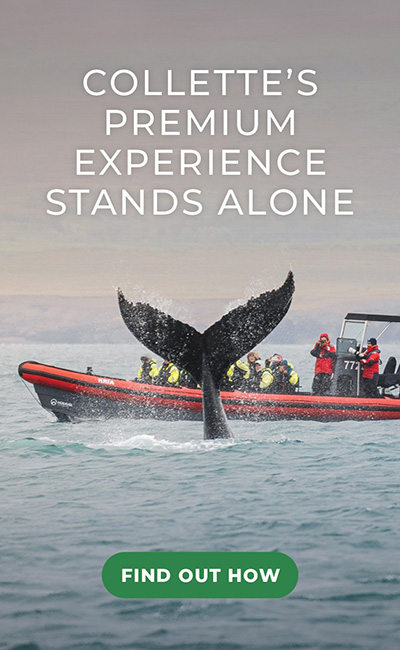 Collette's Premium Experience Stands Alone - Find Out How