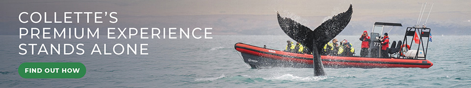 Collette's Premium Experience Stands Alone - Find Out How