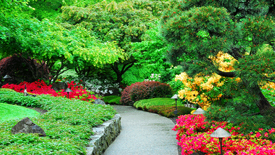 butchartgardens