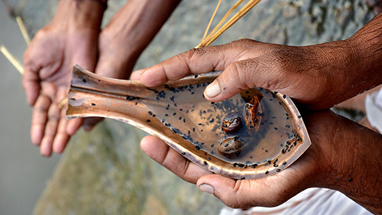 India Pitru Paksha