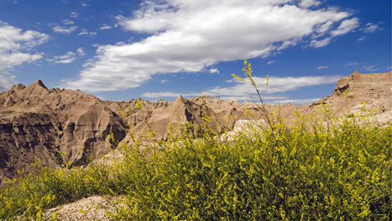 badlands