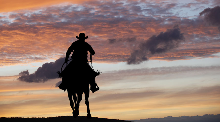 Cowboy South Dakota