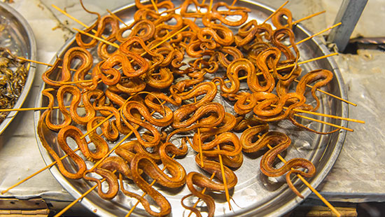 china grilled snakes streetfood