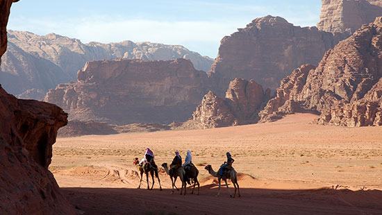 jordan wadirum camels