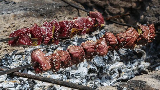 meatskewers