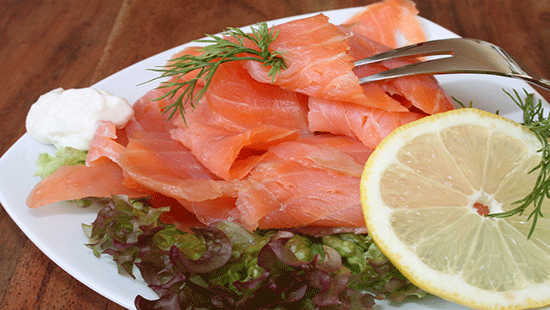 salmon