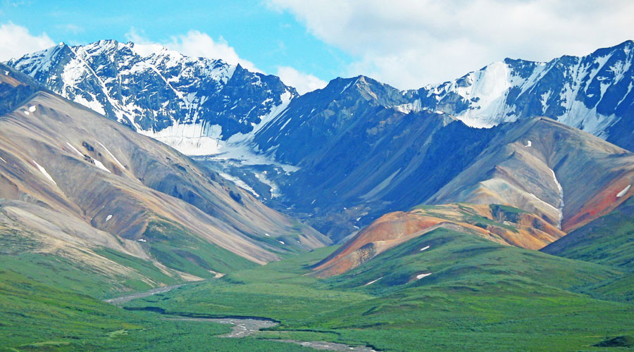 Denali National Park