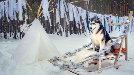 Winter in Finland