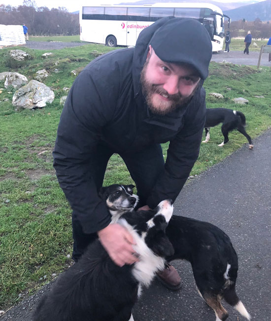 Sheepdogs in Scotland