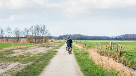Biking in Netherlands