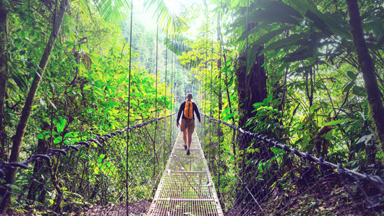 hanging bridge costa rica