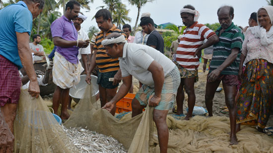 Sharing Food India