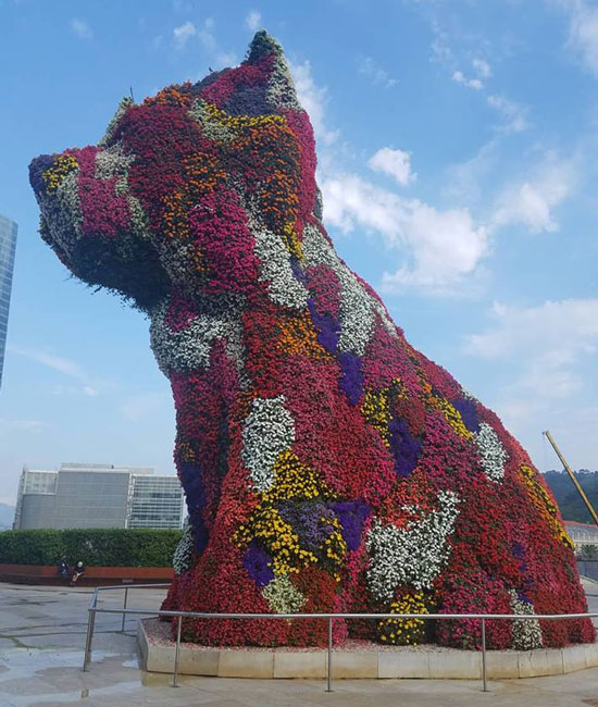 Flower Puppy