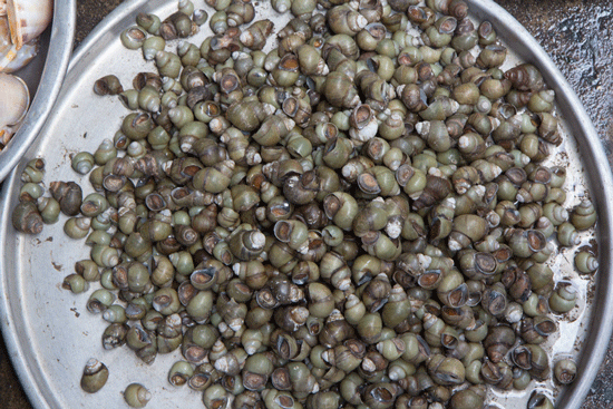 Vietnam Food snails