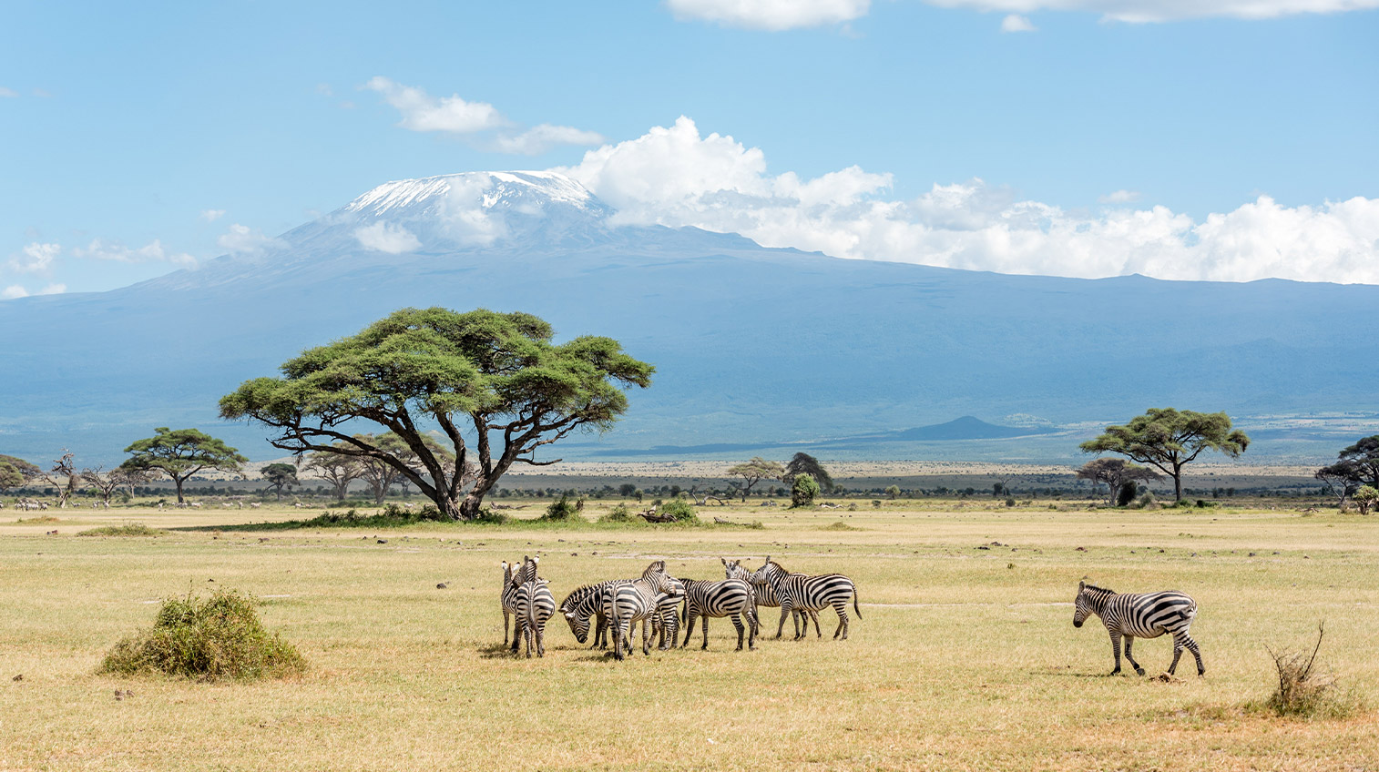 Kenya and Tanzania