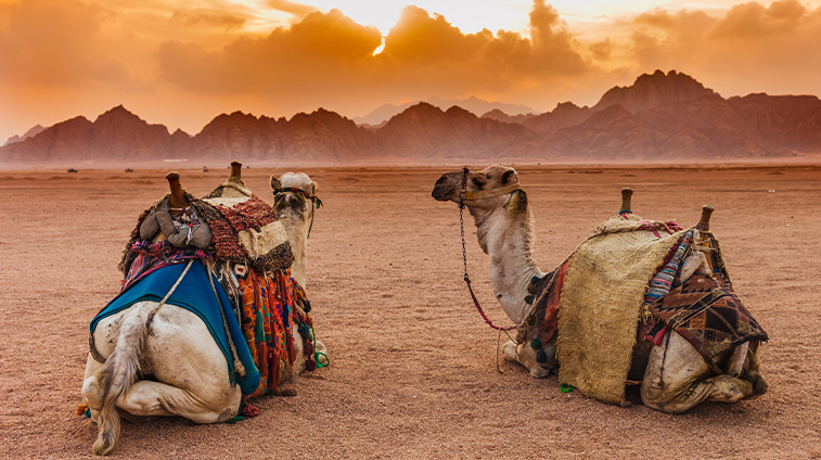 Colors of Morocco