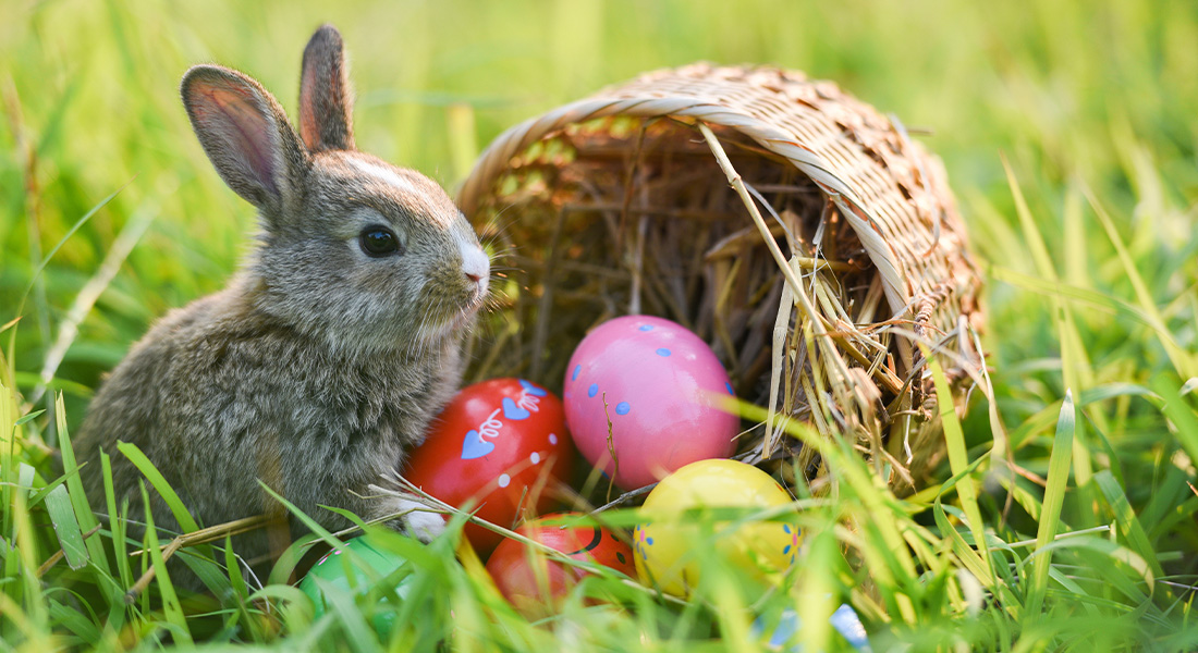 Celebrating Easter around the World