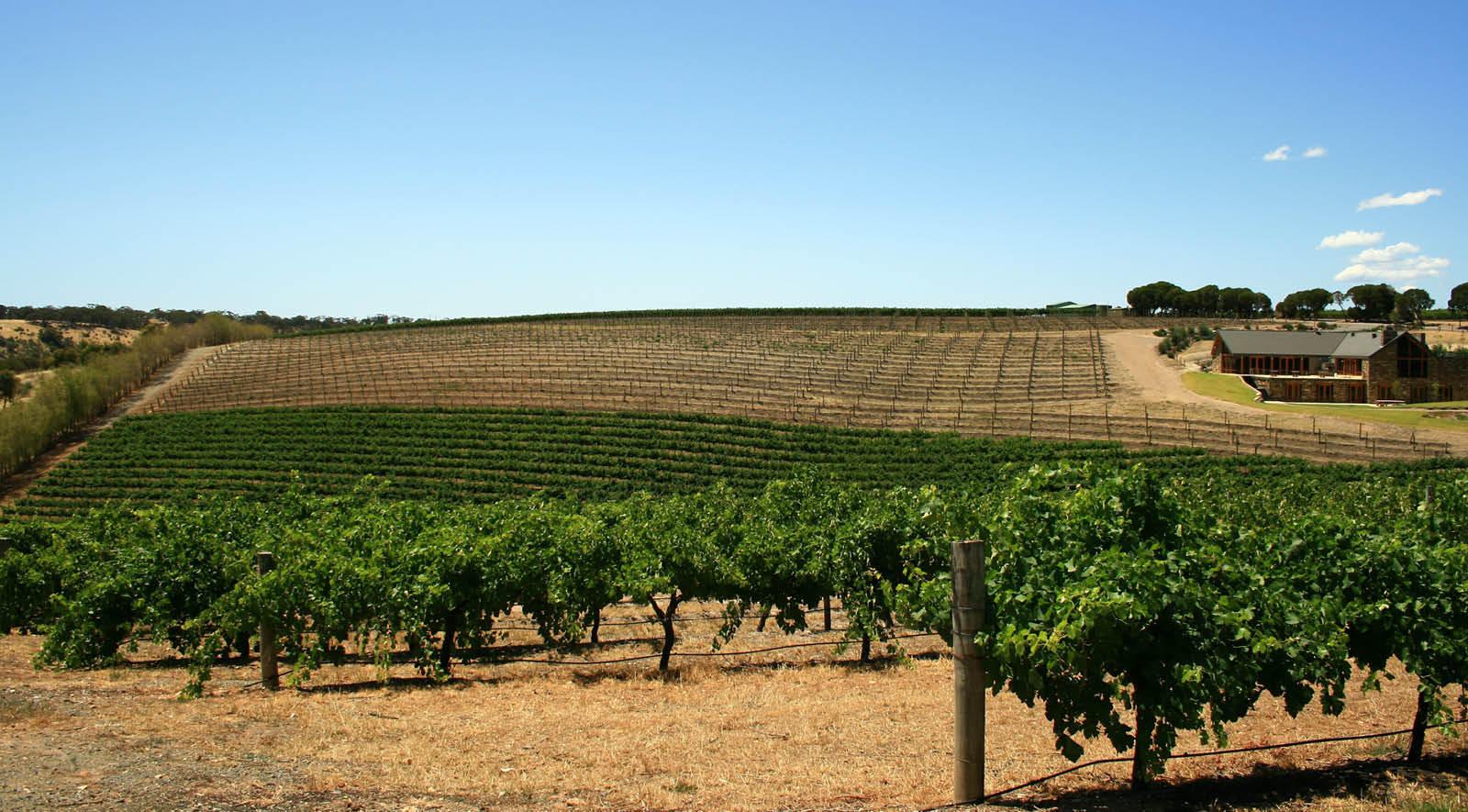 Wine Australia New Zealand