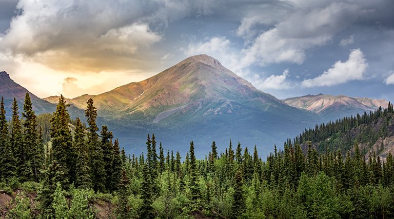 denali national park