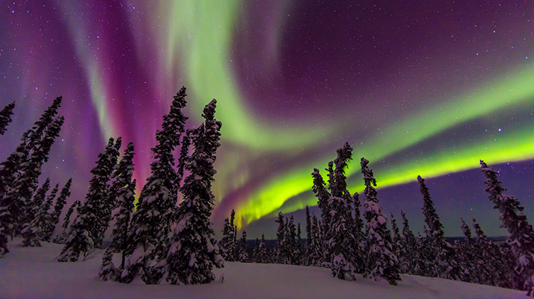 Northern Lights blog alaska