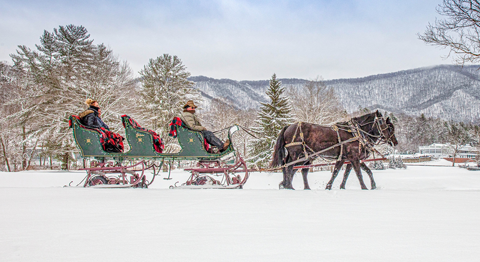 horse carriage ride