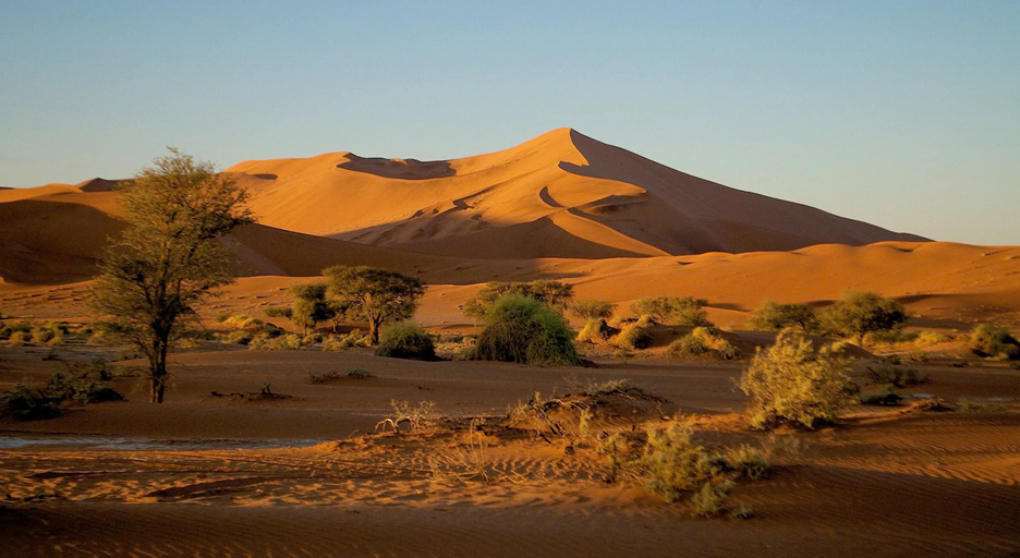 Sand dunes in the Namib Desert