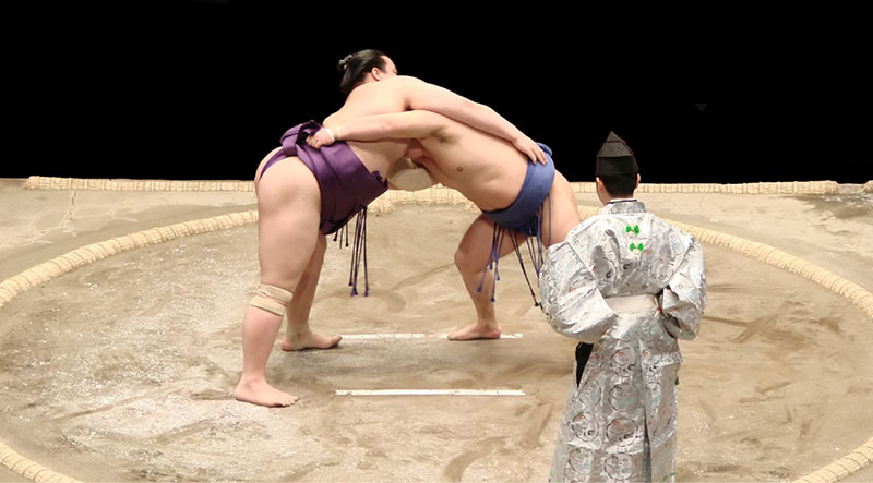 cultural treasures of japan sumo match