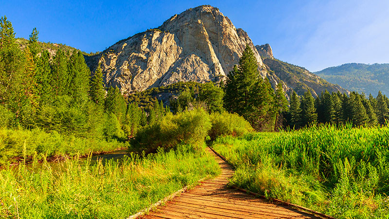 sequoia kings canyon zumwalt meadow