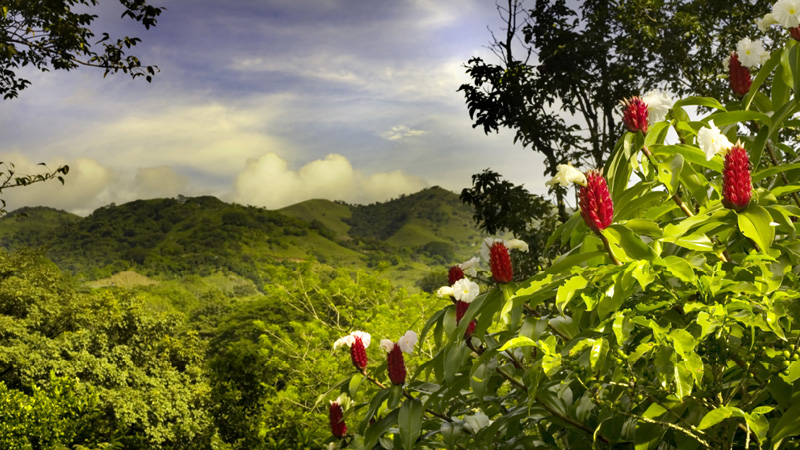 Green Season in Costa Rica