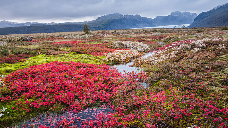 iceland autumn