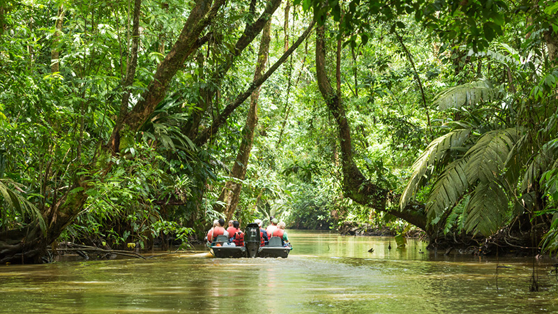 Image of National Park Natural Landscape in Costa Rica