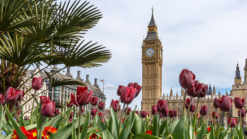 off season in england england with flowers