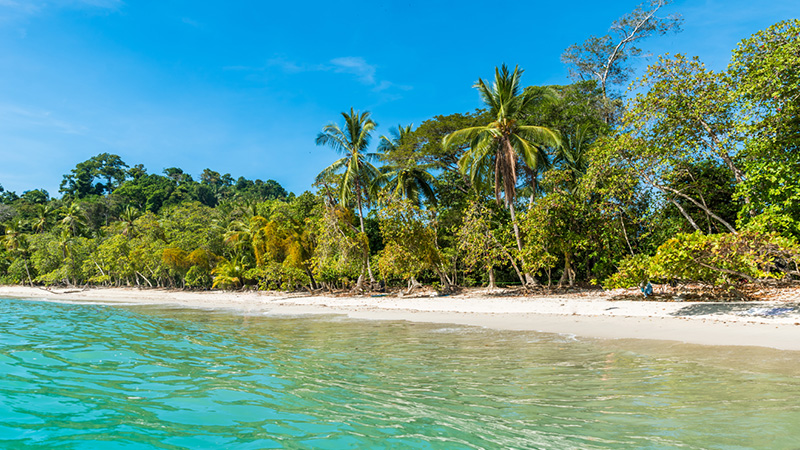 Sunny Costa Rican Beach