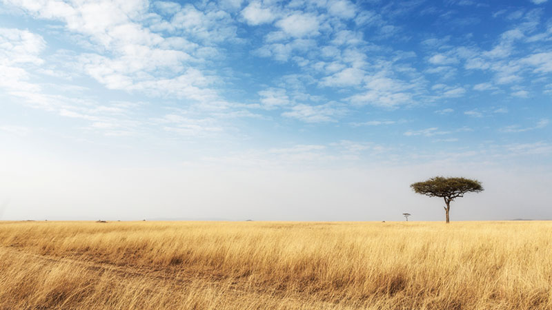 when should i go on safari african plain during dry season