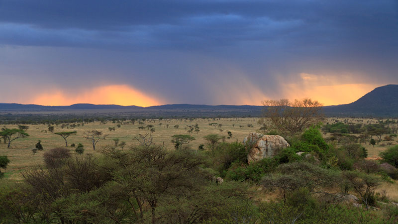 when should i go on safari african plains during wet season