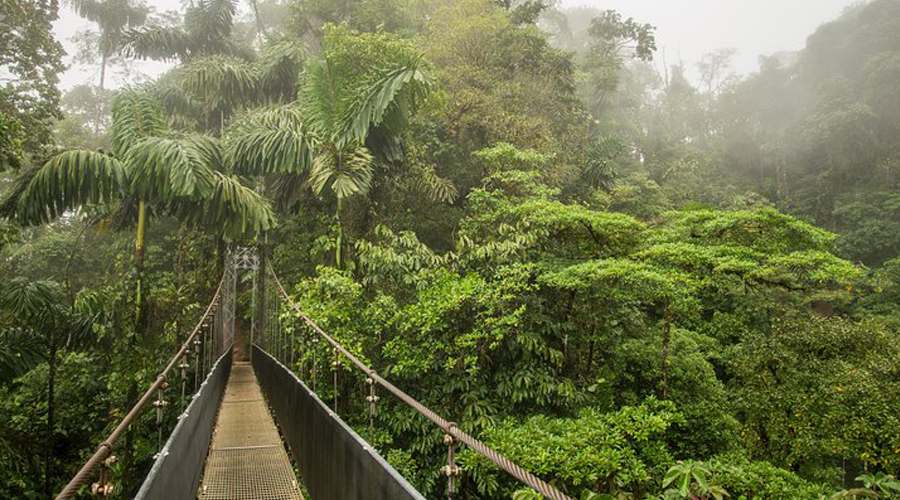 Arenal Hanging Bridges Costa Rica