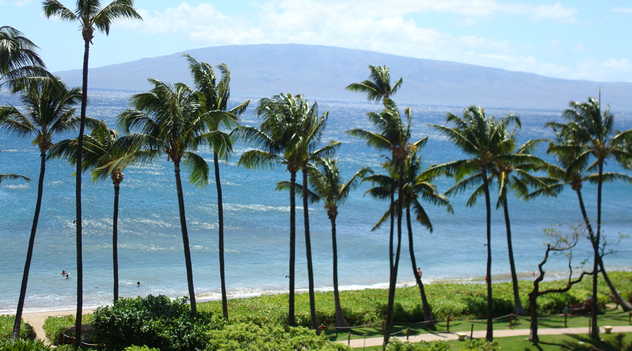 Hawaii Header