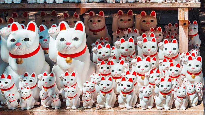 Japan souvenir maneki neko