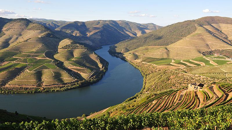 Douro Valley Portugal