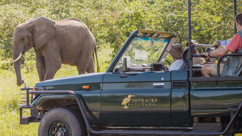 Chobe Bush Lodge