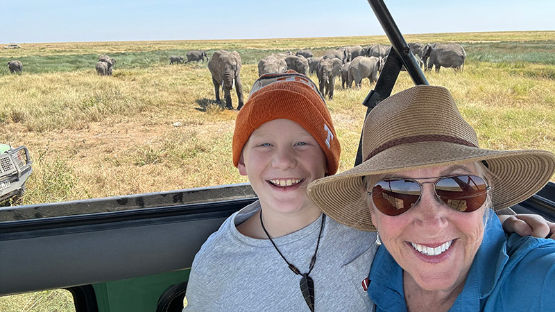 Elephants African Safari