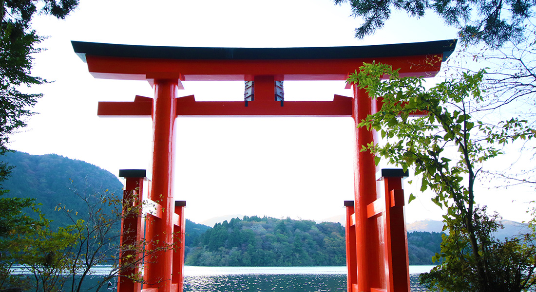 torii shrine in japan