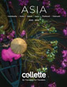 2025 2026 Collette Asia Brochure sm