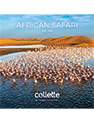 2025 2026 Africa US sm