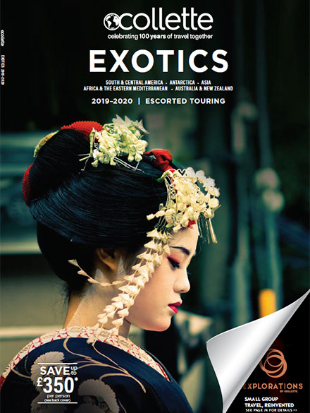 19 exotics uk