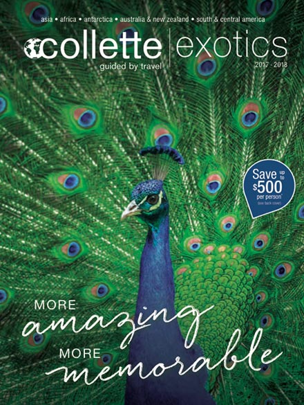 17USExotics 440x585
