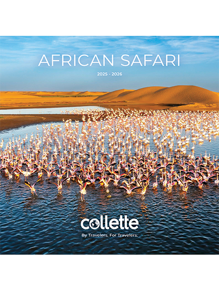 2025 2026 Africa US
