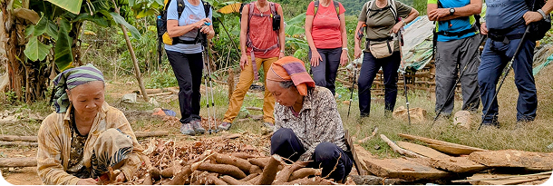 local women working in the field