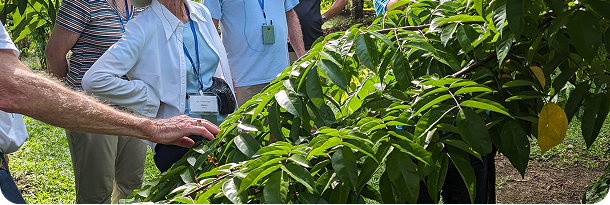 Snowy mountain range