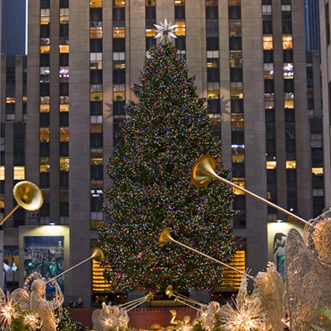 rockefeller tree